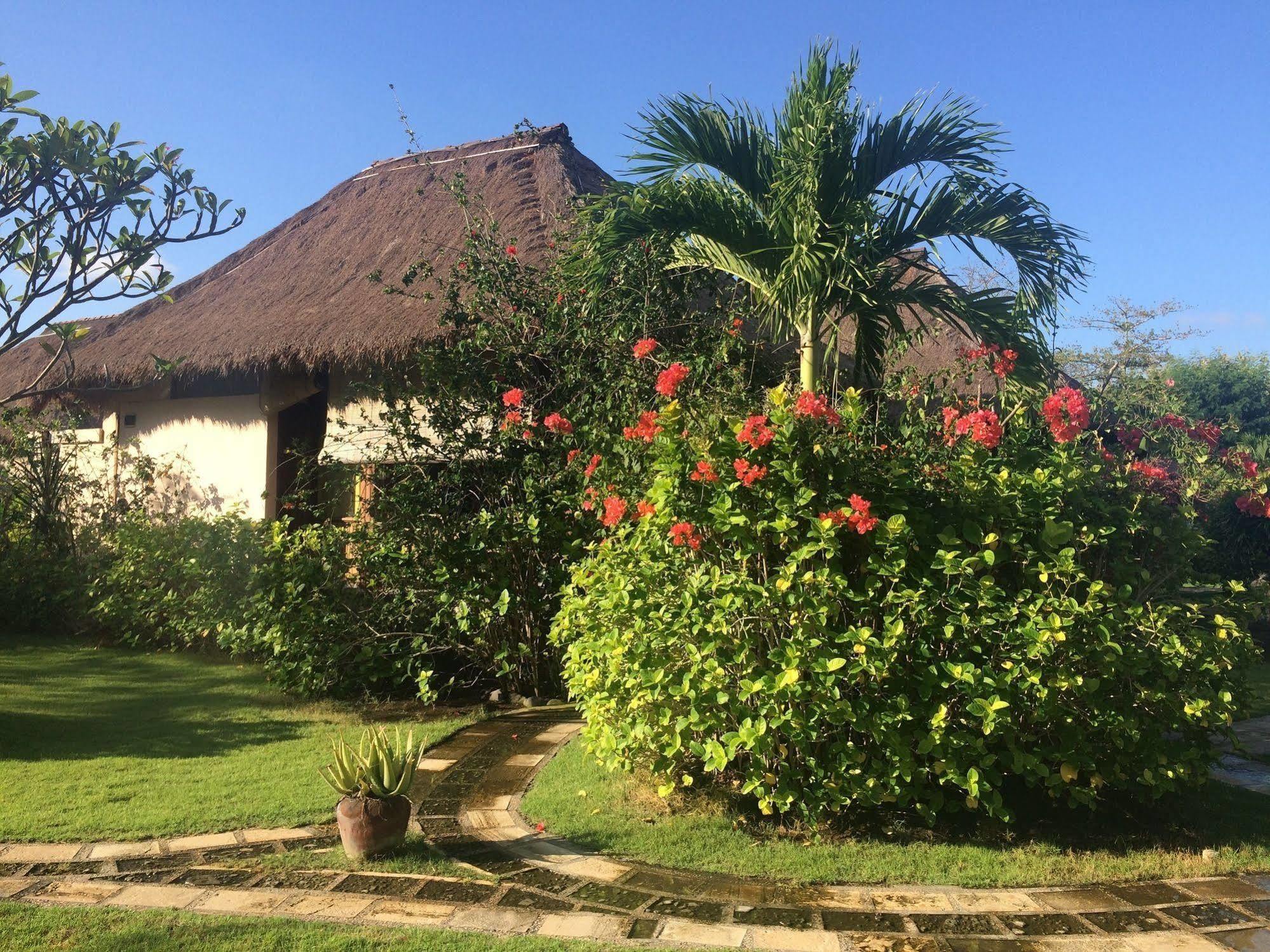 Sunia Loka Bungalows & Dive Center Pemuteran Exterior foto