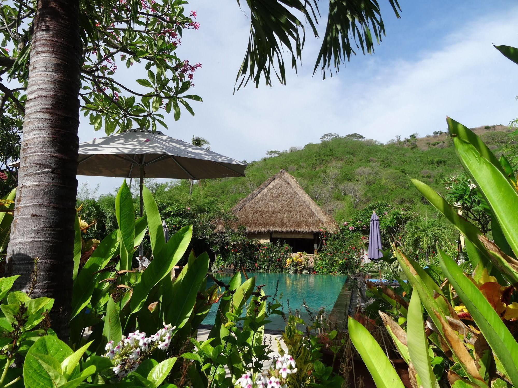 Sunia Loka Bungalows & Dive Center Pemuteran Exterior foto